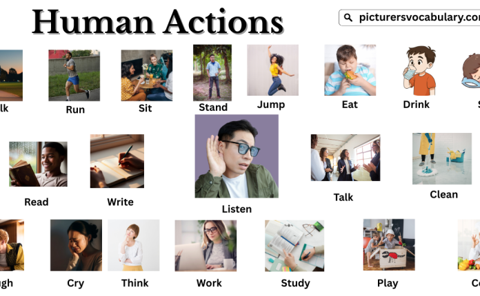 Human Actions Vocabulary with Pictures in English