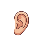 Ear