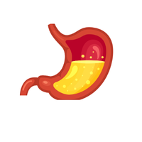Stomach