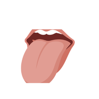 Tongue